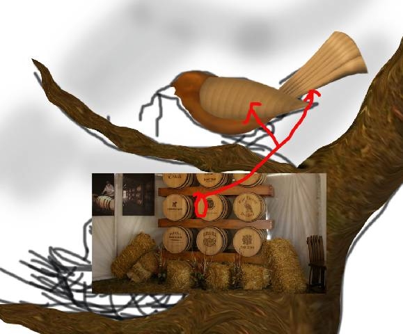 Creation of Feeding: Step 4